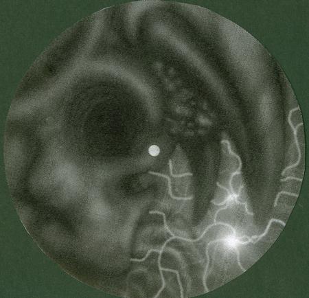 Art Galleries - skull moon - 66175